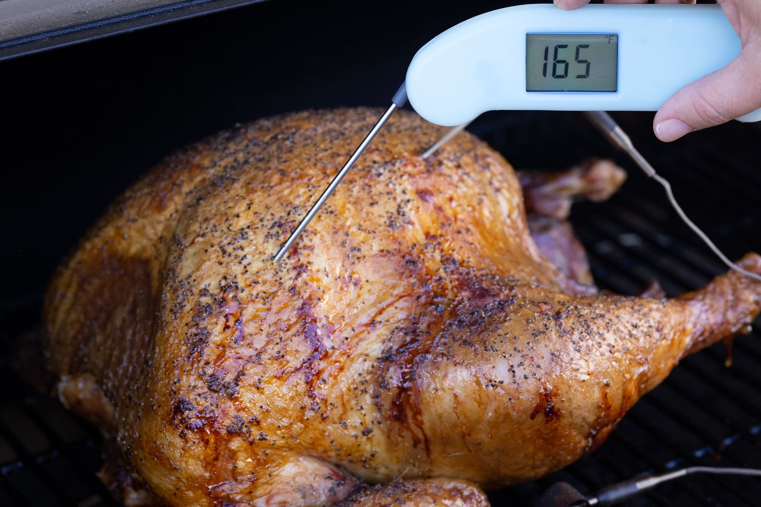Instant read thermometer in a turkey reading 165 degrees F.