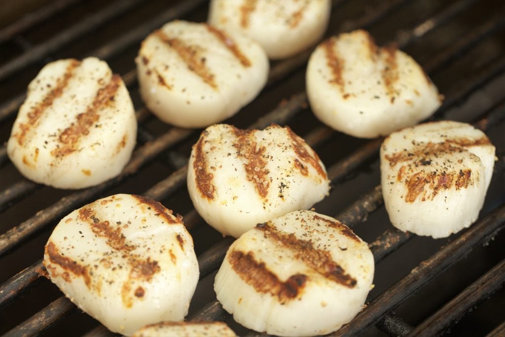 seasoned scallops on the grill with grill marks on the scallops.