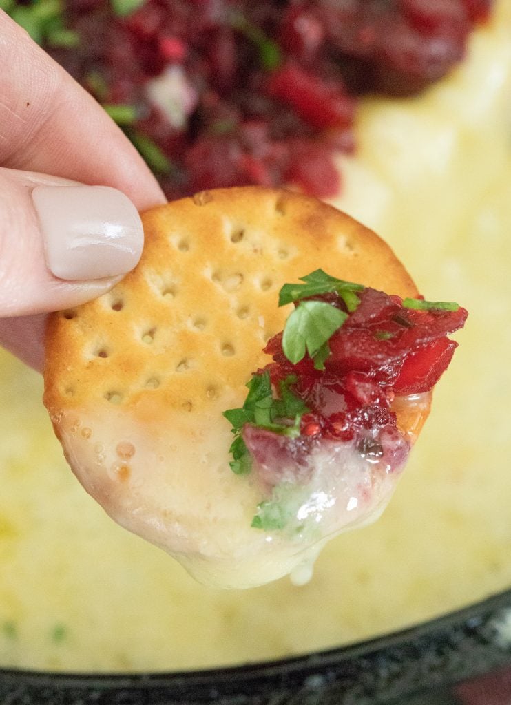 Cracker dipped in melted grilled brie and cranberry jalapeno relish.