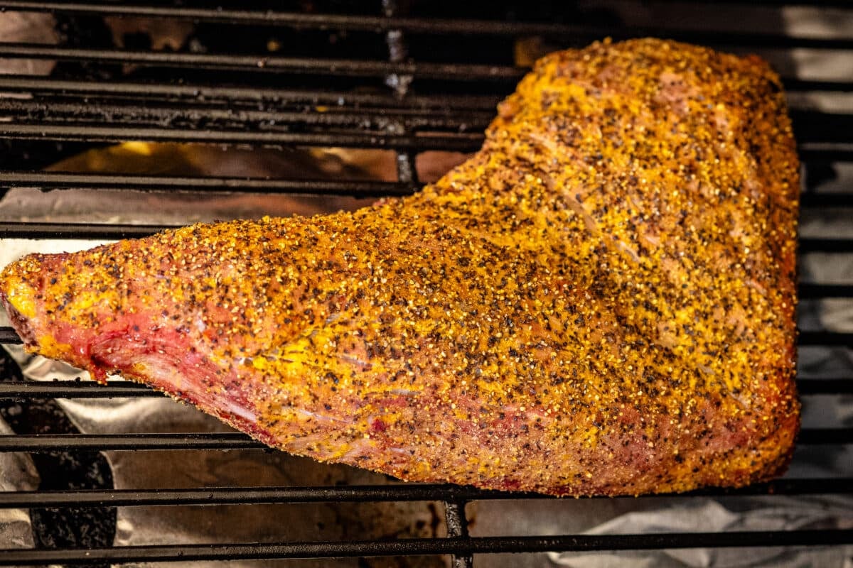 A aeasoning tri tip on the grates of a smoker.