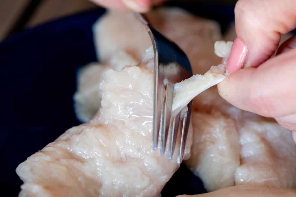 Chicken tendon being removed from a chicken tender with a metal fork.