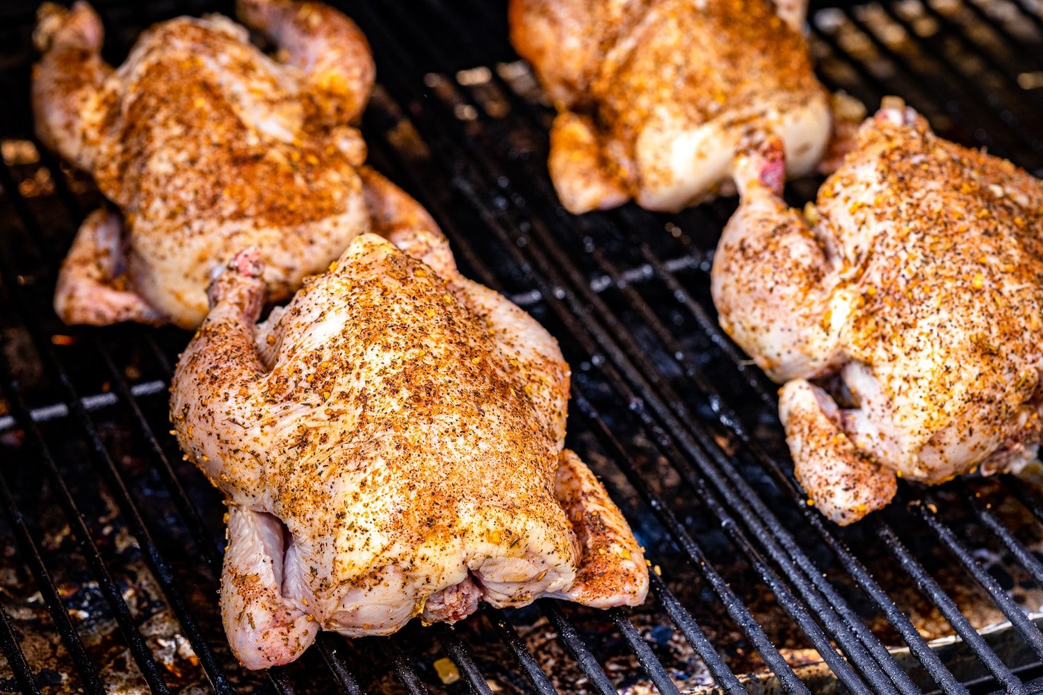 Four seasoned cornish game hens on the grill grates of a smoker.