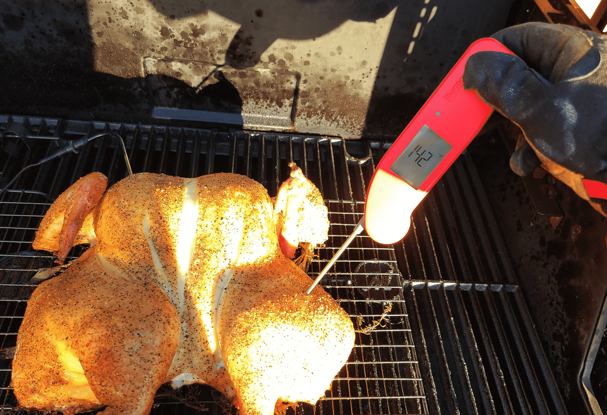 thermometer reading a grilled chicken