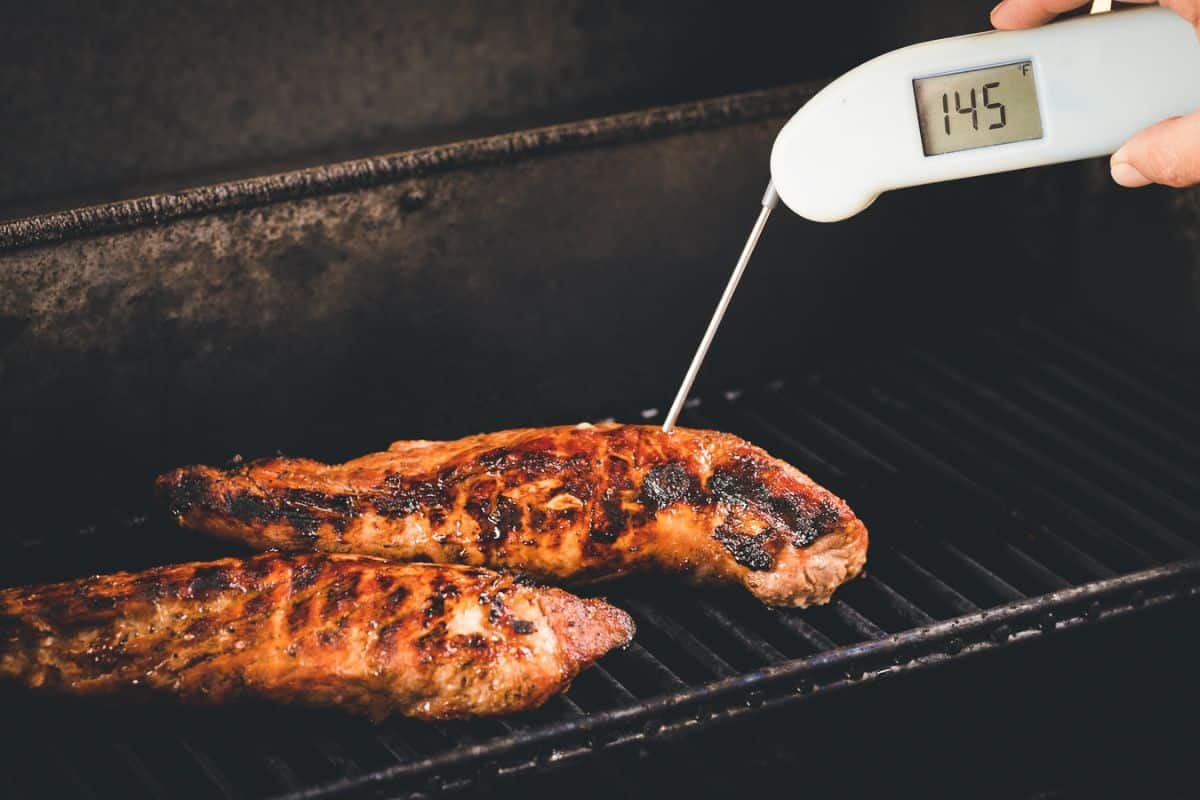 best meat thermometers