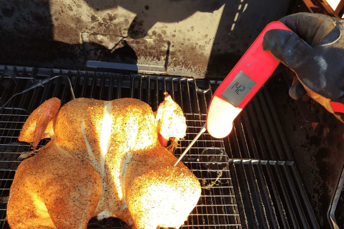 best meat thermometers