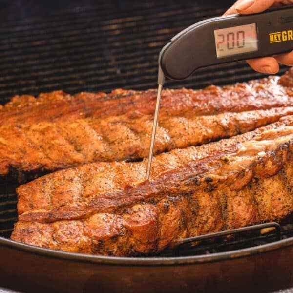 best meat thermometers