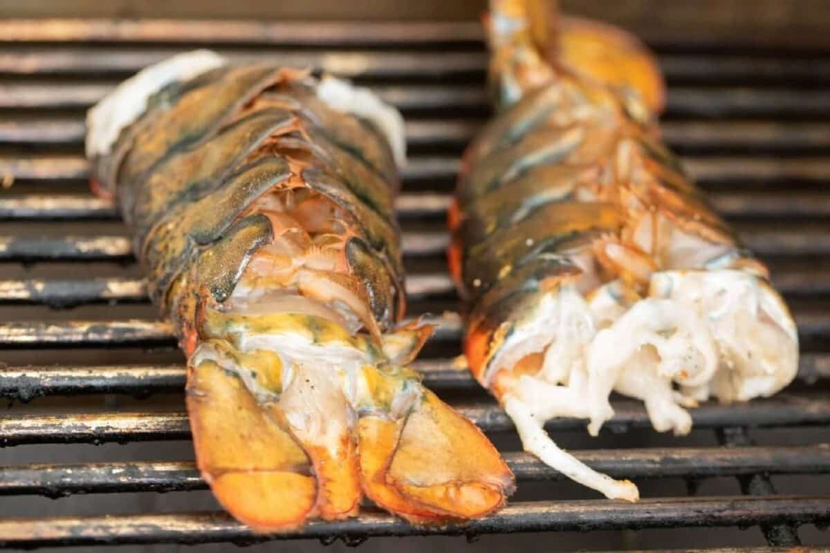 Seafood sitting on the grates of a grill.