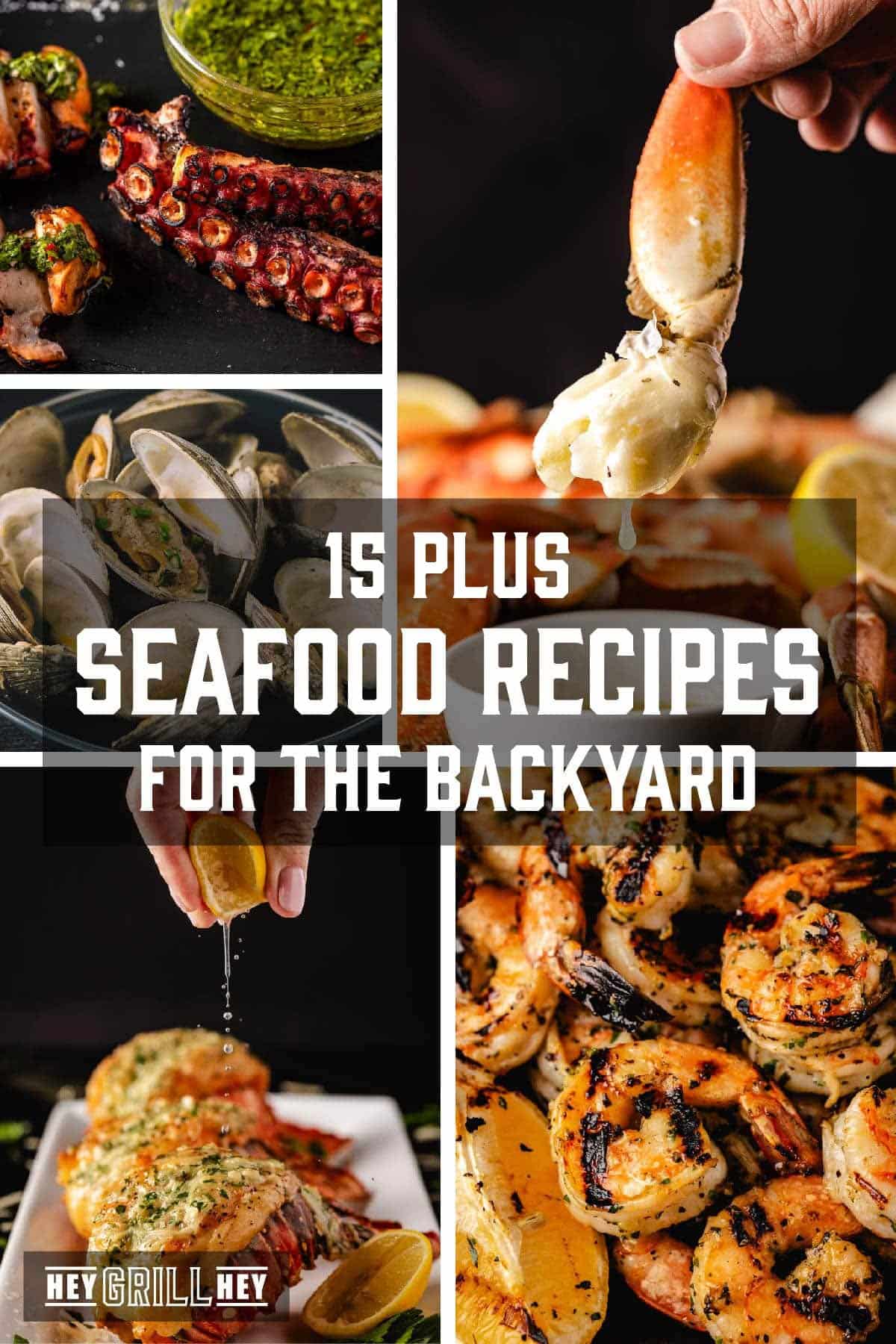 A collage of various grilled seafoods. The text overlay reads "15 Plus Seafood Recipes for the Backyard" in the middle, and "Hey Grill Hey" at the bottom.