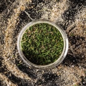 A clear bowl filled with poultry seasoning on a countertop dusting with spices.