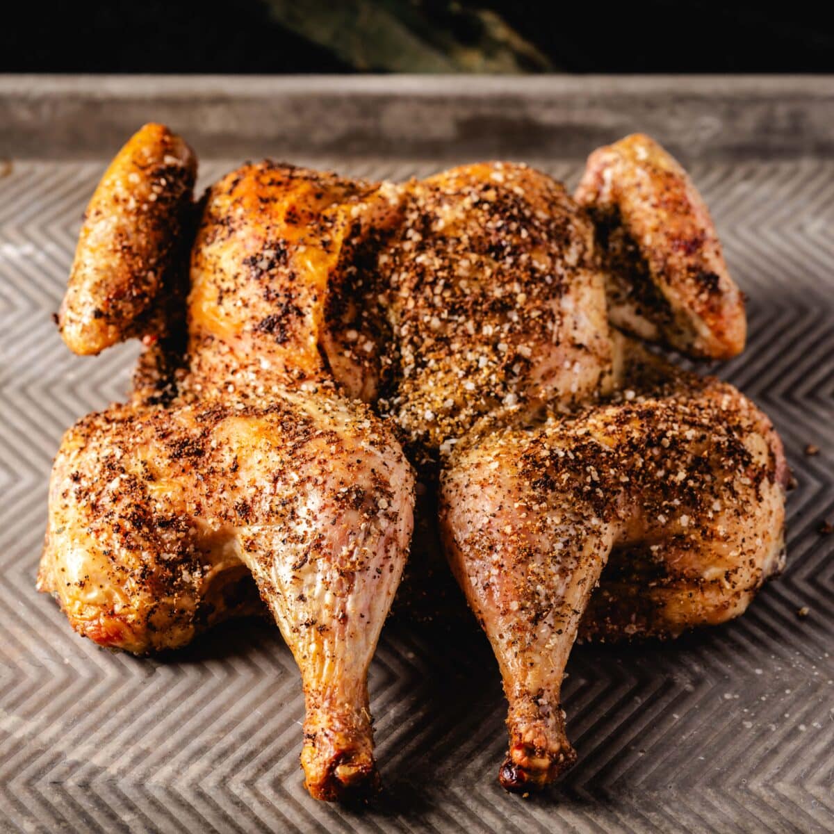 A seasoned and grilled spatchcock chicken on a baking sheet.