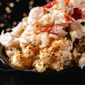 A closeup shout of a dish of lobster mac and cheese/